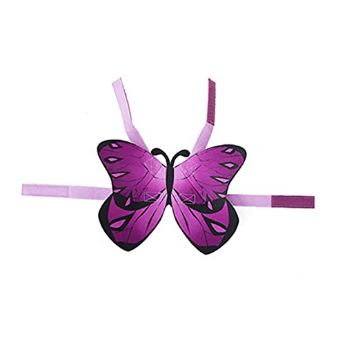 Ipetboom 2stücke Pet Outfit Mit Schmetterlingsflügeln Für Katzen Und Kleine Hunde Leichtes Verstellbares Kostüm Für Halloween Und Festivals Mit Einzigartigem Design Und Langlebigen Ipetboom 2stücke Pet Outfit Mit Schmetterlingsflügeln Für Katzen Und Kleine Hunde Leichtes Verstellbares Kostüm Für Halloween Und Festivals Mit Einzigartigem Design Und Langlebigen von Ipetboom