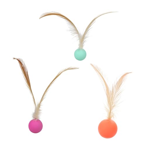 Ipetboom 3st Lustige Katze Springender Ball Crinkle-Ball Für Katzen Katze Jagen Kratzspielzeug Für Katzen Rollkugel Für Katzen Katzenfußballspielzeug Haustier Katzen-Teaser Künstliche Feder Ipetboom 3st Lustige Katze Springender Ball Crinkle-Ball Für Katzen Katze Jagen Kratzspielzeug Für Katzen Rollkugel Für Katzen Katzenfußballspielzeug Haustier Katzen-Teaser Künstliche Feder von Ipetboom