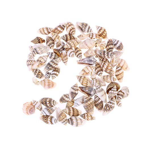 Ipetboom 500stücke Aquarium Muschel Natürliche Muscheln Für Dekoration Strandmuscheln Zum Basteln Muscheln Zur Dekoration Für Zimmer Und Aquarien von Ipetboom