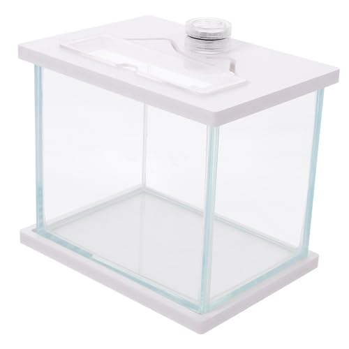 Ipetboom Glasbehälter Aquarium Weiß Runder Zylinder Led Büro Glas Desktop-Zubehör von Ipetboom