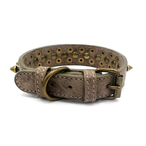 Ipetboom Modisches Haustierhalsband Hundehalsband Mit Nieten Runder Nagel Grau Größe XL Heimtierbedarf von Ipetboom
