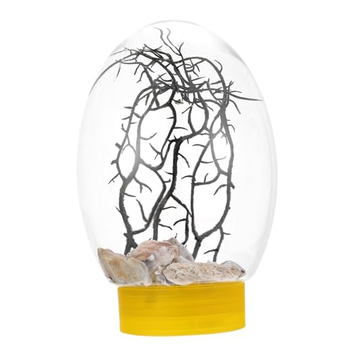 Ipetboom Terrarien Desktop Aquarium Aus Kunststoff Mini Kleinaquarium Glasbehälter Für Terrarien von Ipetboom