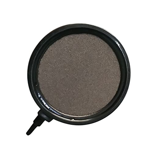 Ipetboom Aquarium Luftpumpe Blase Disk Stein Hydrokultur Platte für Fisch Tank Blasen 10cm Ipetboom Aquarium Luftpumpe Blase Disk Stein Hydrokultur Platte für Fisch Tank Blasen 10cm von Ipetboom