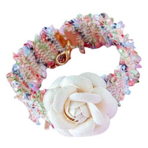 Ipetboom Katzenhalskette Haustierhalsband Sommerartikel Wolle Tragbar Welpenhalsband Ipetboom Katzenhalskette Haustierhalsband Sommerartikel Wolle Tragbar Welpenhalsband von Ipetboom