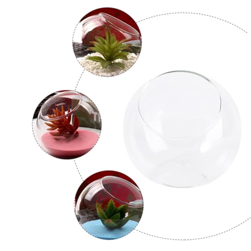 Ipetboom Micro Landscape Glasflasche Kompakter Terrarium Behälter für Miniaturpflanzen und Dekoration Umweltfreundliches Transparentes Flaschenglas für Wohn und Arbeitsbereiche von Ipetboom