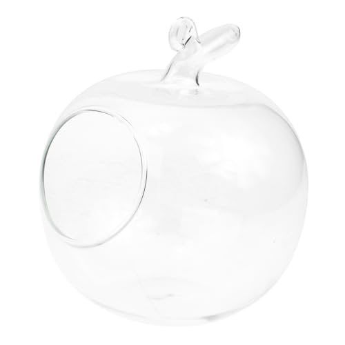 Ipetboom Micro Landschaftsflasche Form Eines Apfels Dekorative Glasvase für DIY Pflanzen für Terrarien und Garten Dekoration Transparentes Glasgefäß für Moos und Miniaturgärten Ipetboom Micro Landschaftsflasche Form Eines Apfels Dekorative Glasvase für DIY Pflanzen für Terrarien und Garten Dekoration Transparentes Glasgefäß für Moos und Miniaturgärten von Ipetboom