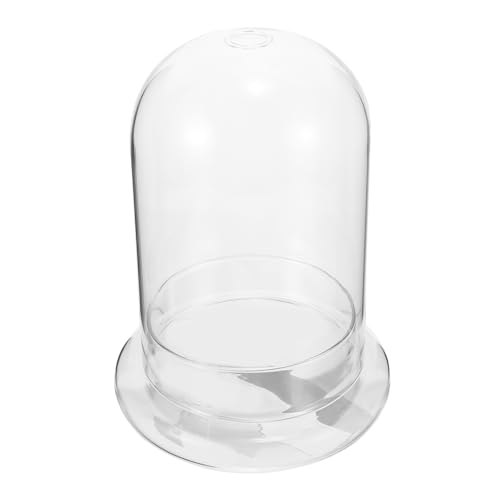 Ipetboom Mikro Landschaftsflasche aus DIY Terrarium für Pflanzen Dekorative Klarglaskuppel Langlebig und Wassersparend für Büro und Wohnraumgestaltung Ipetboom Mikro Landschaftsflasche aus DIY Terrarium für Pflanzen Dekorative Klarglaskuppel Langlebig und Wassersparend für Büro und Wohnraumgestaltung von Ipetboom