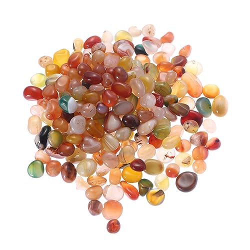 Ipetboom Natürliche Aquarium-Dekoration 0 5–1 cm Kieselsteine 500 G Dekorative Steine für Die Wasserszene Ipetboom Natürliche Aquarium-Dekoration 0 5–1 cm Kieselsteine 500 G Dekorative Steine für Die Wasserszene von Ipetboom