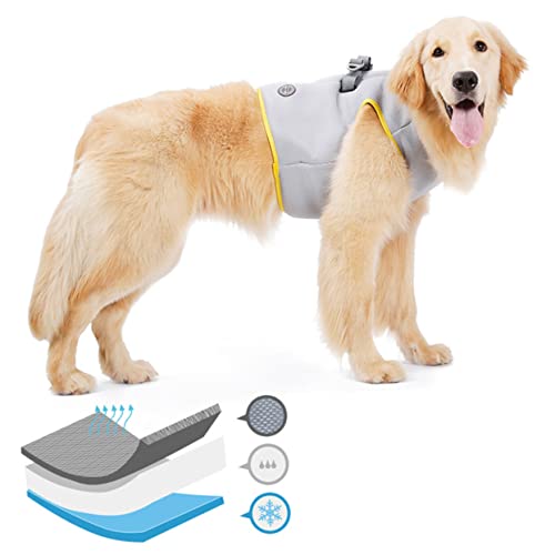 Ipetboom Kühlweste Für Hunde Atmungsaktiv Und Wärmeabsorbierend Kühljacke Für Haustiere Weste Für Hunde von Ipetboom