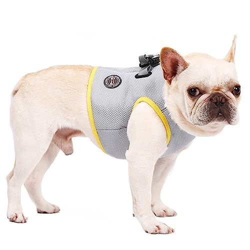 Ipetboom Kühljacke für Haustiere Kühlweste für Hunde Atmungsaktive Saugfähige Weste für Bequeme Kühlweste für Hunde Größe M Ipetboom Kühljacke für Haustiere Kühlweste für Hunde Atmungsaktive Saugfähige Weste für Bequeme Kühlweste für Hunde Größe M von Ipetboom