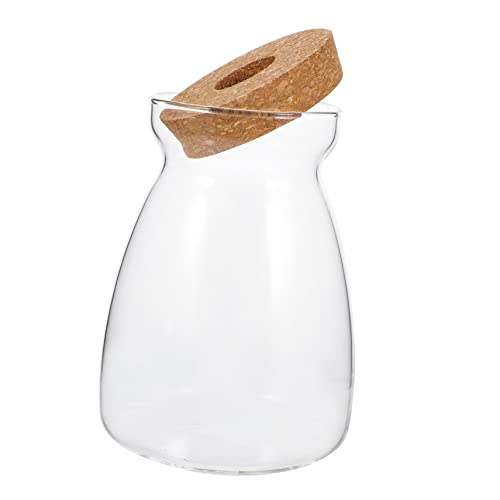 Ipetboom Terrarium Glasbehälter für Pflanzen Großer Mikrolandschaft Container mit Deckel für Sukkulenten und Hydroponik Dekoration für Wohnräume Büro und Ipetboom Terrarium Glasbehälter für Pflanzen Großer Mikrolandschaft Container mit Deckel für Sukkulenten und Hydroponik Dekoration für Wohnräume Büro und von Ipetboom