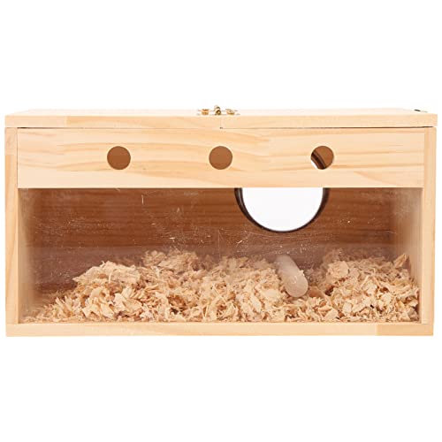 Ipetboom Vogelnest Brutkasten: Sittich Nistkasten Holz Wellensittich Vogelhaus mit Sitzstange Holz Vogelkäfig Haus für Nymphensittiche Unzertrennliche Papageien Ipetboom Vogelnest Brutkasten: Sittich Nistkasten Holz Wellensittich Vogelhaus mit Sitzstange Holz Vogelkäfig Haus für Nymphensittiche Unzertrennliche Papageien von Ipetboom