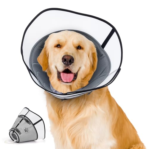 Iptienda Halskrause Hund,Leckschutz Hund Weich Konisch,Schutzkragen Hunde Atmungsaktiv,Halskrause Hunde Elisabethanischer Kragen,Halskraus Katze Verwendet für langnasige Teckel mit Jagdhunden(XL,Grau) von Iptienda