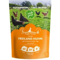 Irish Pure Trockenfutter: Irisches Freiland-Huhn mit Gemüse & Kelp-Alge, Puppy von Irish Pure