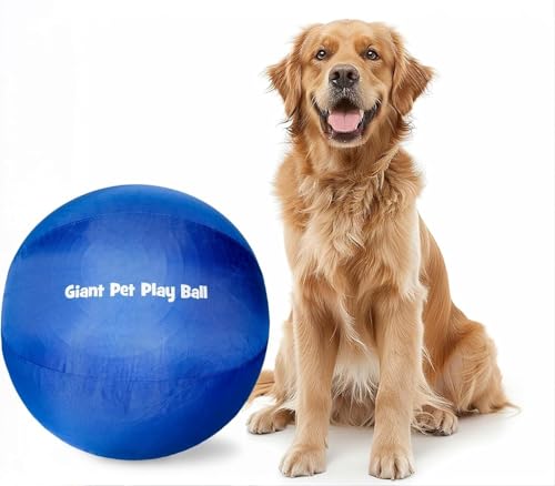 Iron Paws Giant Pet Play Ball Herding Ball für Hunde, 61 cm (2025 Edition) inklusive robuster Abdeckung und Aufblaspumpe von Iron Paws