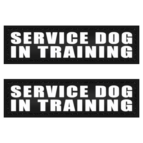 IronSeals 2 Stück reflektierende Hundepflaster für Geschirr, abnehmbare Patches mit reflektierendem bedrucktem Diensthund im Training für emotionale Unterstützung Therapie Hundeweste Geschirr Halsband von IronSeals