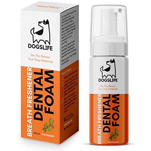It's A Dogs Life Hund Atemerfrischer | Pfefferminz Mundwasser für Hunde | Sicherer und einfacher Zahnschaum zur Heilung von schlechtem Hundeatem! 150ml Gentle Dog Dental Spray für alle Hunde! von It's A Dogs Life