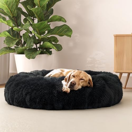 Italian Bed Linen Dreams weiches Hundebett für Hunde und Katzen, Petrol, 70 x 70 cm Italian Bed Linen Dreams weiches Hundebett für Hunde und Katzen, Petrol, 70 x 70 cm von Italian Bed Linen