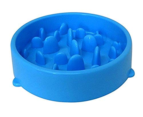 Itian Anti Schling Napf Hunde, rutschfest Fressnapf zur Langsameren Nahrungsaufnahme, Slow Feeder Interaktiver Pet Fressnapf für Klein bis Große Hunde 20cm (Blau) von Itian