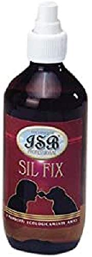 Iv San Bernard 020124 Technique SIL Fix 250 ml von Iv San Bernard