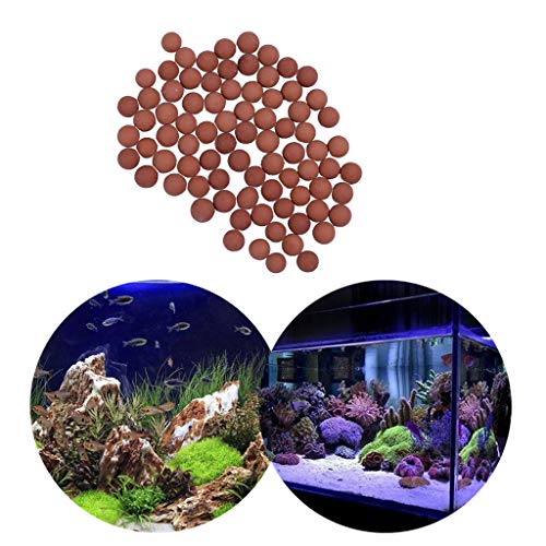 Iwähle Aquarium Aktivkohle Holzkohle 100g, Fish Tank Wasserqualität Filtermedien Reinigen Dekor Zubehör Runder Stein Braun von Iwähle