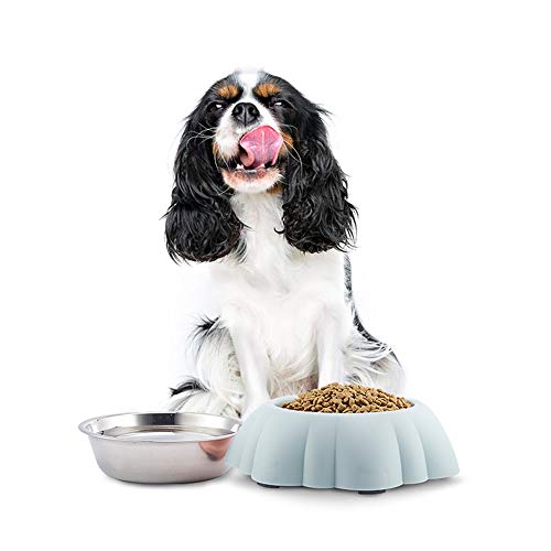 Iwinna Haustier-Geschirr, dicker rutschfester Edelstahlnapf für Hunde und Katzen, Macaron-Farbe, Kürbis-Form, kreativer Futternapf von Iwinna