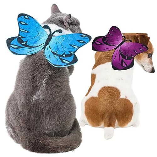 Ixppidxi Halloween Flügel für Hunde 2pcs Schmetterling Form Hundeflügel Verstellbare Katzenkleidung niedliche Filzstoff Katze Outfit Kostüme Blau+lila Bekleidung von Ixppidxi