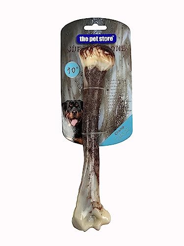 J&E Importers The Pet Store Hunde-Kauspielzeug für Aggressive Kauer, maximale Stärke, robust, extremer Jurassic-Knochen, 25,4 cm J&E Importers The Pet Store Hunde-Kauspielzeug für Aggressive Kauer, maximale Stärke, robust, extremer Jurassic-Knochen, 25,4 cm von J&E Importers