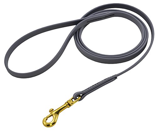 J&J Dog Supplies Biothane Hundeleine, 1,27 cm breit, 1,82 m lang, Grau J&J Dog Supplies Biothane Hundeleine, 1,27 cm breit, 1,82 m lang, Grau von J&J Dog Supplies