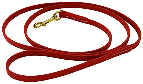 J&J Dog Supplies Biothane Hundeleine, 1,27 cm breit, 1,8 m lang, Rot von J&J Dog Supplies