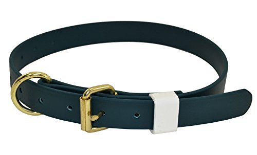 J&J Dog Supplies Boithane Dog Collar 1" Wide & Adjustable from 14" to 24", Hunter Green von J&J Dog Supplies