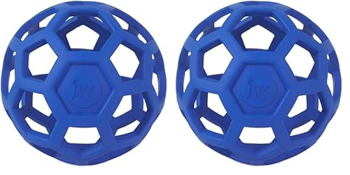 J.W. JW JW43110 HOL-ee Roller Small, Hundespielzeug kauen und beißen, S (Packung mit 2) von J.W.