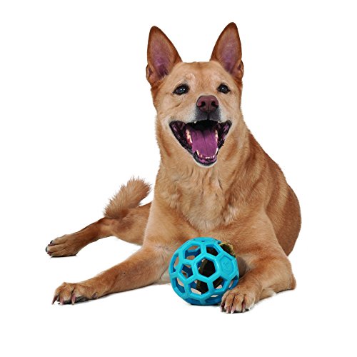 JW Hol-ee Hundespielzeug / Ball, Größe 12,7 cm, aus Gummi, Größe M von JW