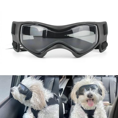 Hundebrille für kleine Rassen, UV-Schutz, Winddicht, Augenschutz, Haustier-Sonnenbrille mit verstellbaren Riemen, zum Autofahren/Outdoor-Aktivitäten, Schwarz(V-Shape Schwarz) von JABALUX