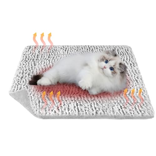 JABNOW Selbstwärmend Decke Katze, 50x60 Selbstheizende Decke Katze, Grau Haustierdecke Waschbar, Katzen Decken Flauschig, Selbstheizende Decke für Katzen & Hunde JABNOW Selbstwärmend Decke Katze, 50x60 Selbstheizende Decke Katze, Grau Haustierdecke Waschbar, Katzen Decken Flauschig, Selbstheizende Decke für Katzen & Hunde von JABNOW