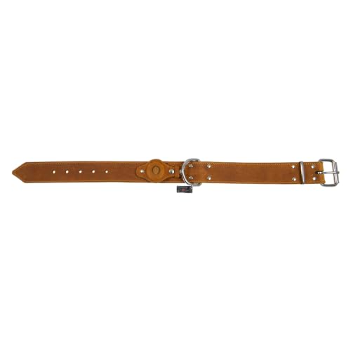 JACK AND VANILLA – AIRTAG-Hundehalsband aus öligem Leder – integrierter GPS-Plotter – solide, langlebig, pflegeleicht, weich im Griff – moderner Look – Farbe Cognac, Größe 40 mm x 60 cm JACK AND VANILLA – AIRTAG-Hundehalsband aus öligem Leder – integrierter GPS-Plotter – solide, langlebig, pflegeleicht, weich im Griff – moderner Look – Farbe Cognac, Größe 40 mm x 60 cm von JACK AND VANILLA