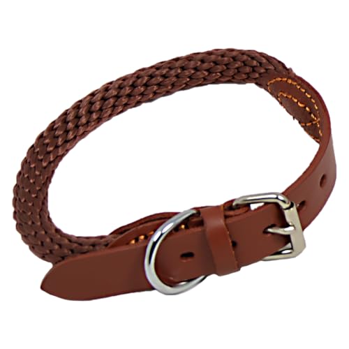 JACK AND VANILLA, Bequemes und langlebiges Hundehalsband, robuste Sicherheitsschnalle, Elegantes Design, verstellbar für eine perfekte Passform, Größe 15 x 65 cm, braune Farbe, Walkabout-Modell JACK AND VANILLA, Bequemes und langlebiges Hundehalsband, robuste Sicherheitsschnalle, Elegantes Design, verstellbar für eine perfekte Passform, Größe 15 x 65 cm, braune Farbe, Walkabout-Modell von JACK AND VANILLA