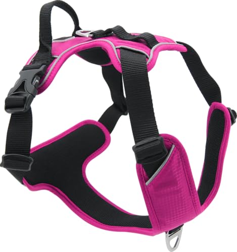 JACK AND VANILLA, bequemes und sicheres Hundegeschirr, individuelle Passform, modernes und attraktives Design, ideal für Spaziergänge im Freien, Größe M, Farbe Fuchsia, Modell Expedition von JACK AND VANILLA