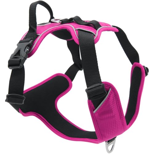 JACK AND VANILLA, Bequemes und verstellbares Hundegeschirr, modernes Fuchsia-Design, praktische Clips zum schnellen Anlegen, langlebig und widerstandsfähig, Größe XL, Farbe Fuchsia, Modell Expedition JACK AND VANILLA, Bequemes und verstellbares Hundegeschirr, modernes Fuchsia-Design, praktische Clips zum schnellen Anlegen, langlebig und widerstandsfähig, Größe XL, Farbe Fuchsia, Modell Expedition von JACK AND VANILLA