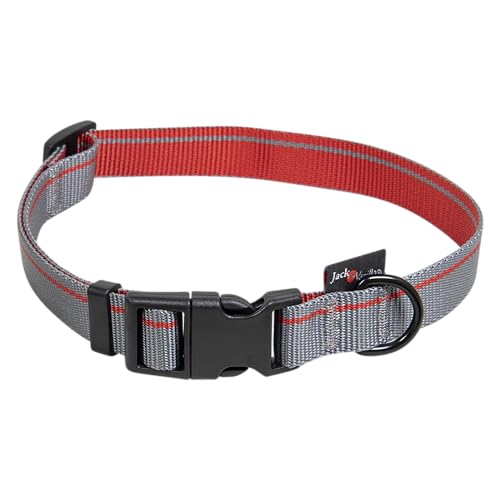 JACK AND VANILLA, Stylisches Hundehalsband in Grau, modernes und klares Design, verstellbare Größe XL (39-65 cm), langlebig und leicht zu reinigen, verstärkte Sicherheit, 20 mm, Streifenmuster von JACK AND VANILLA