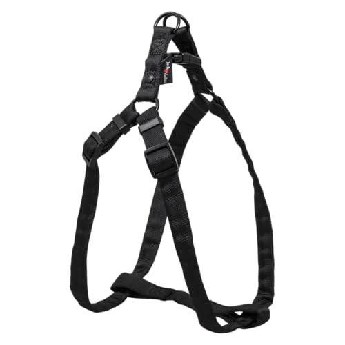 JACK AND VANILLA, ergonomisches, leichtes, verstellbares Hundegeschirr aus schwarzem Nylon mit reflektierenden Streifen für Sicherheit, Größe M, 20 mm, Verstellung 45–66 cm, Komfortmodell JACK AND VANILLA, ergonomisches, leichtes, verstellbares Hundegeschirr aus schwarzem Nylon mit reflektierenden Streifen für Sicherheit, Größe M, 20 mm, Verstellung 45–66 cm, Komfortmodell von JACK AND VANILLA