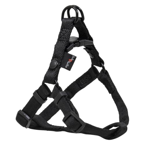 JACK AND VANILLA, leichtes, verstellbares Hundegeschirr aus schwarzem Nylon mit reflektierenden Streifen für mehr Sicherheit, Spaziergänge, XXS 12 x 24 – 28cm, Comfort-Modell JACK AND VANILLA, leichtes, verstellbares Hundegeschirr aus schwarzem Nylon mit reflektierenden Streifen für mehr Sicherheit, Spaziergänge, XXS 12 x 24 – 28cm, Comfort-Modell von JACK AND VANILLA