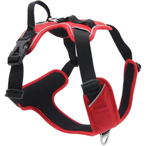 JACK AND VANILLA, ergonomisches Hundegeschirr, verstärkte Sicherheit, einfach zu bedienen, vielseitig zum Spazierengehen und Wandern, modernes Design, Größe XL, rote Farbe, Expeditionsmodell JACK AND VANILLA, ergonomisches Hundegeschirr, verstärkte Sicherheit, einfach zu bedienen, vielseitig zum Spazierengehen und Wandern, modernes Design, Größe XL, rote Farbe, Expeditionsmodell von JACK AND VANILLA