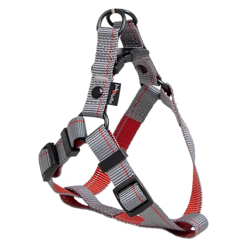 JACK AND VANILLA Ergonomisch verstellbares Hundegeschirr aus strapazierfähigem Material, modernes Design mit verstärkten Sicherheitsstreifen, Größe XS, Grau, 15 mm, 27–38 cm, Streifenmuster JACK AND VANILLA Ergonomisch verstellbares Hundegeschirr aus strapazierfähigem Material, modernes Design mit verstärkten Sicherheitsstreifen, Größe XS, Grau, 15 mm, 27–38 cm, Streifenmuster von JACK AND VANILLA