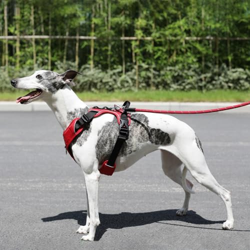 JACK AND VANILLA, ergonomisches rotes Hundegeschirr, verstellbar, leicht und langlebig, ideal zum Wandern und Spazierengehen, klare Sicht, Größe M, rote Farbe, Expeditionsmodell von JACK AND VANILLA