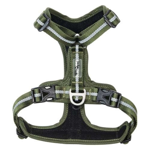 JACK AND VANILLA, ergonomisches Geschirr für Outdoor-Aktivitäten, individuelle Passform, langlebige Materialien, vielseitiges Design, einfach zu bedienen, Größe XL, Olivgrün, Muster JACK AND VANILLA, ergonomisches Geschirr für Outdoor-Aktivitäten, individuelle Passform, langlebige Materialien, vielseitiges Design, einfach zu bedienen, Größe XL, Olivgrün, Muster von JACK AND VANILLA