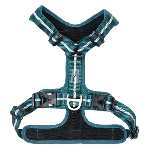 JACK AND VANILLA, Ergonomisches Geschirr für Tiere, optimaler Komfort, verstärkte Sicherheit, modernes Design, einfach zu bedienen, ideal für alle Aktivitäten, Größe XL, Farbe Blau, Expeditionsmodell JACK AND VANILLA, Ergonomisches Geschirr für Tiere, optimaler Komfort, verstärkte Sicherheit, modernes Design, einfach zu bedienen, ideal für alle Aktivitäten, Größe XL, Farbe Blau, Expeditionsmodell von JACK AND VANILLA