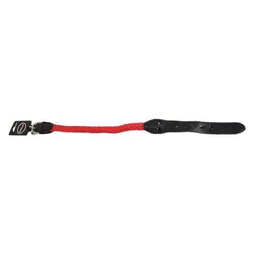 JACK AND VANILLA Walkabout Ergonomisches Hundehalsband, verstellbar, langlebig, wetterbeständig, leicht zu reinigen, 15 x 60 cm, Rot JACK AND VANILLA Walkabout Ergonomisches Hundehalsband, verstellbar, langlebig, wetterbeständig, leicht zu reinigen, 15 x 60 cm, Rot von JACK AND VANILLA