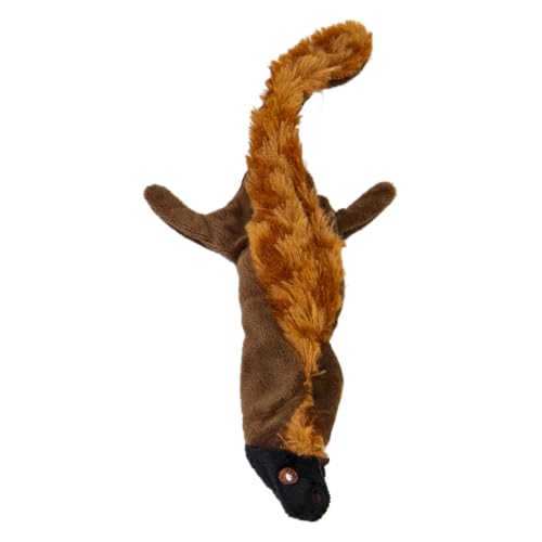 JACK AND VANILLA, Eichhörnchen-Plüschtier für Hunde 20 cm, realistisches Design, Sound und waschbar, ideal für interaktive Spiele, leuchtende Farbe, Flatties-Modell JACK AND VANILLA, Eichhörnchen-Plüschtier für Hunde 20 cm, realistisches Design, Sound und waschbar, ideal für interaktive Spiele, leuchtende Farbe, Flatties-Modell von JACK AND VANILLA