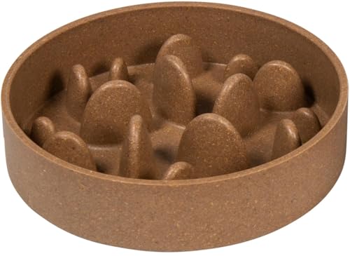 JACK AND VANILLA, Futternapf für Haustiere, aus strapazierfähigem Kunststoff, stabil und rutschfest, ideal für kleine und mittelgroße Rassen, Beige 14 x 4 cm, Modell Bon Appe JACK AND VANILLA, Futternapf für Haustiere, aus strapazierfähigem Kunststoff, stabil und rutschfest, ideal für kleine und mittelgroße Rassen, Beige 14 x 4 cm, Modell Bon Appe von JACK AND VANILLA